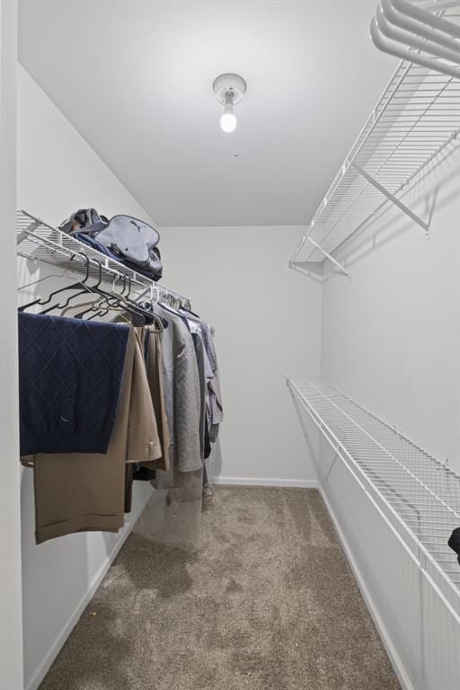 1465 Laleiah Dr, Cumming, GA 30041 - spacious closet featuring carpet floors