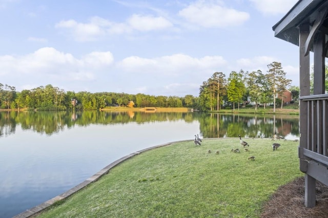 1465 Laleiah Dr, Cumming, GA 30041 - water view