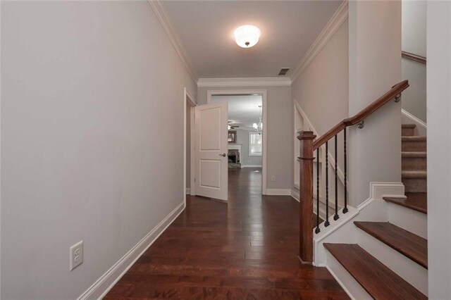 hallway featuring crown molding and dark hardwood / wood-style floors