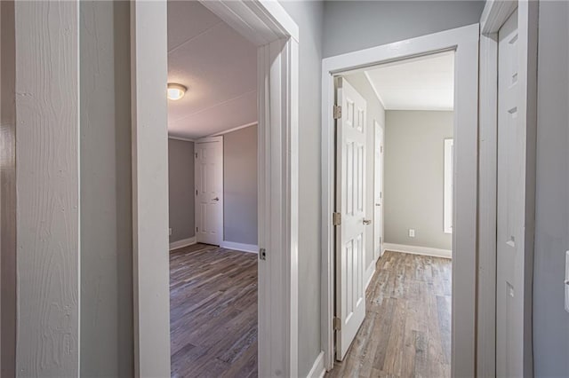 hall featuring baseboards and wood finished floors