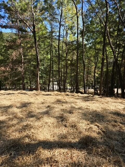 29 Treetopper Ln, Big Canoe GA, 30143 land for sale