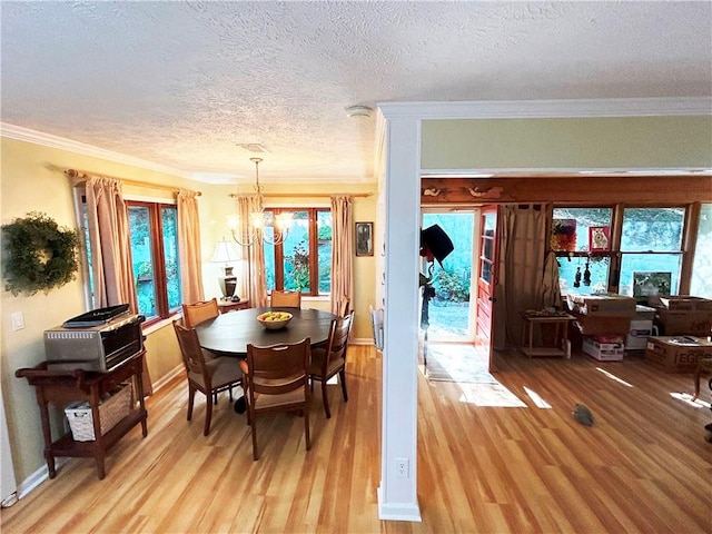 dining room featuring plenty of natural light, light hardwood / wood-style floors, crown molding, and a textured ceiling