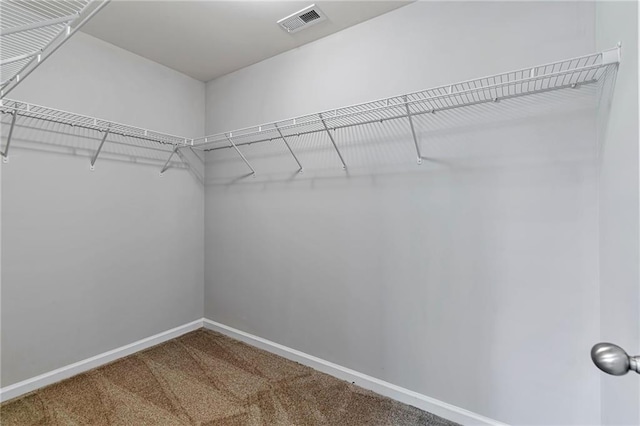 spacious closet featuring carpet floors