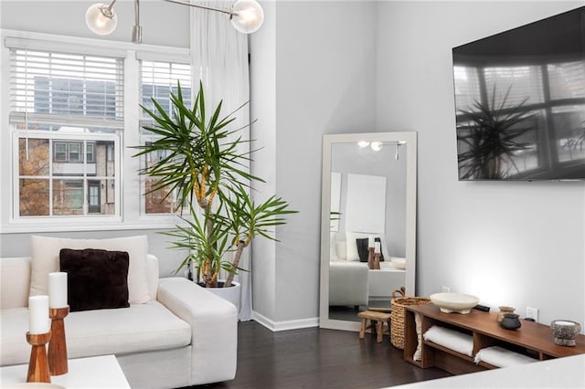 sitting room featuring dark wood-type flooring