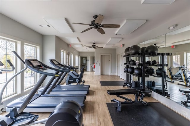 gym with ceiling fan, a healthy amount of sunlight, and light hardwood / wood-style floors