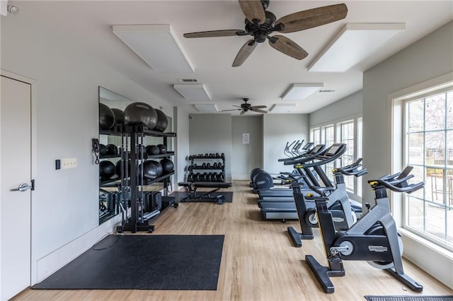 workout area featuring ceiling fan and hardwood / wood-style floors