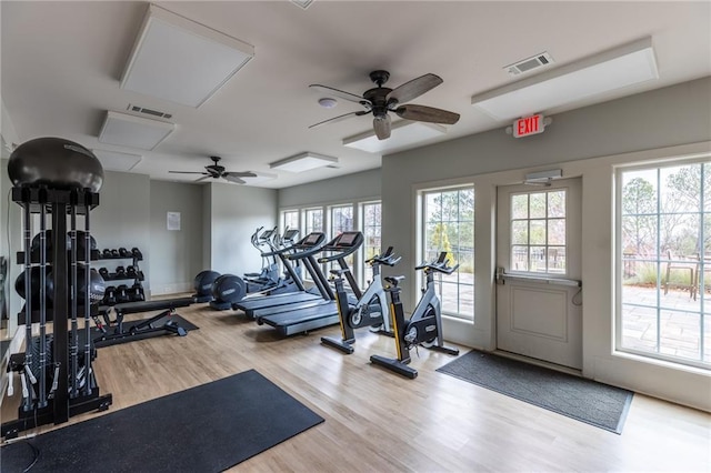 gym with light hardwood / wood-style floors, ceiling fan, and a healthy amount of sunlight