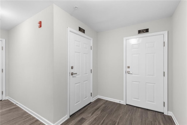 entryway with dark hardwood / wood-style flooring