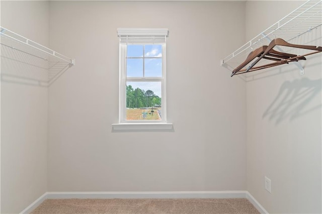 walk in closet featuring carpet