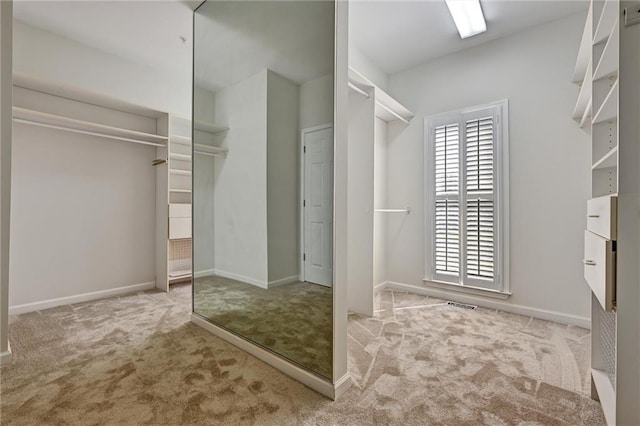 spacious closet featuring light carpet