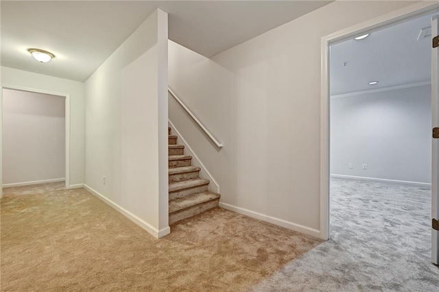 stairs featuring carpet flooring