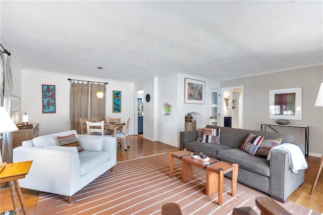 living area featuring ornamental molding, baseboards, and light wood finished floors