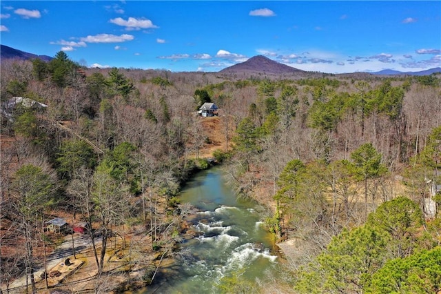 view of mountain feature