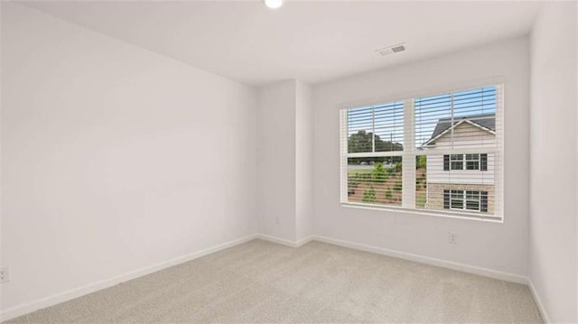 unfurnished bedroom featuring light colored carpet and a closet