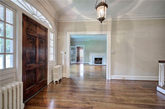 entryway featuring crown molding, radiator, and dark wood-type flooring