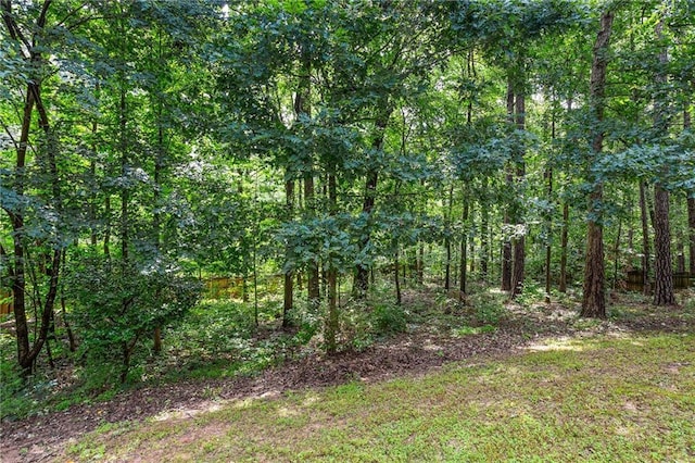 5355 Highland Pine Ln, Mableton, GA 30126 - view of wooded area
