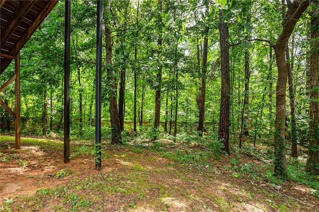 5355 Highland Pine Ln, Mableton, GA 30126 - view of wooded area