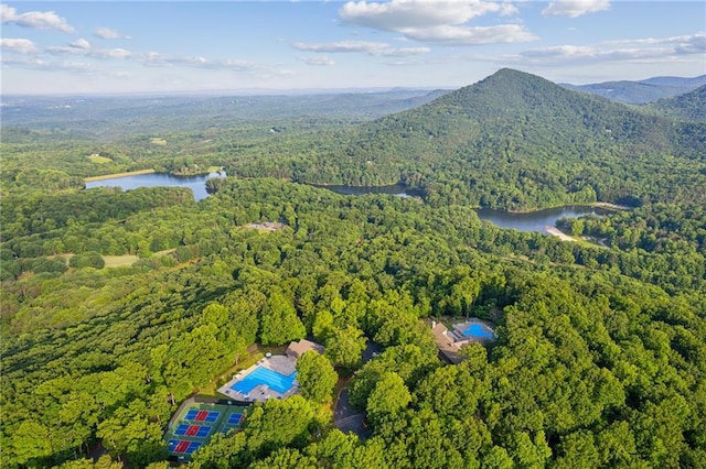 drone / aerial view with a view of trees and a water and mountain view