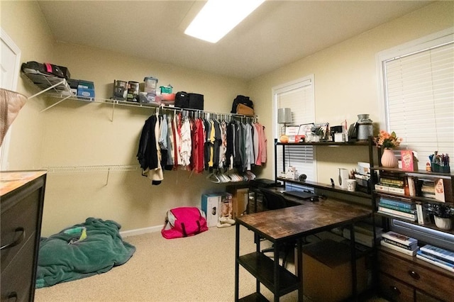 spacious closet featuring carpet flooring