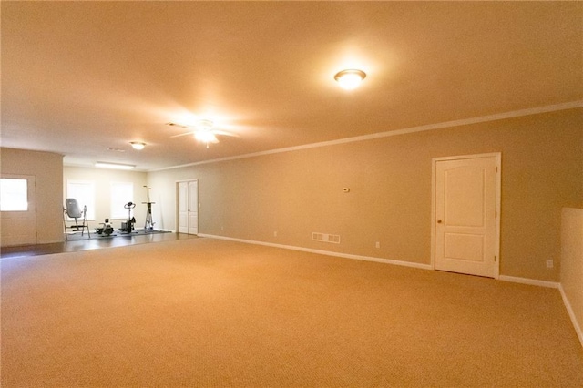 exercise area featuring carpet floors and ornamental molding