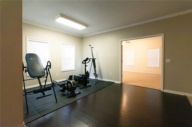 workout area featuring crown molding and dark hardwood / wood-style floors