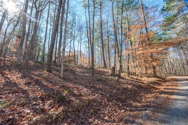 view of local wilderness