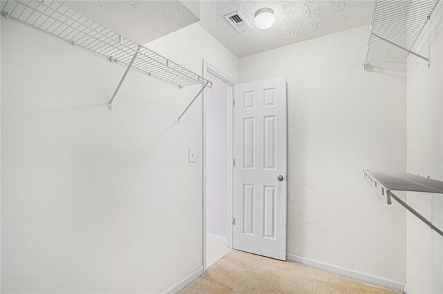 spacious closet with light colored carpet