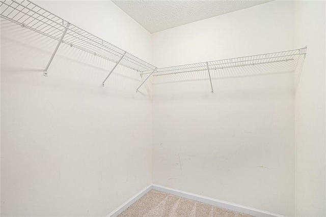 spacious closet with carpet floors