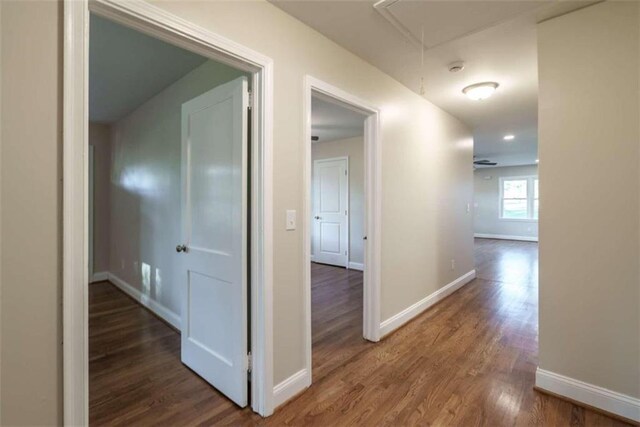 hallway featuring dark hardwood / wood-style floors