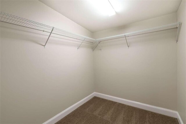 spacious closet with carpet floors