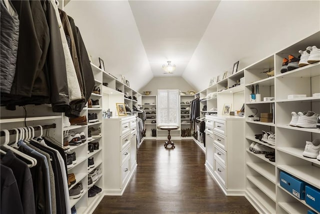 walk in closet with lofted ceiling and dark wood-style floors