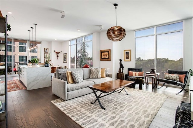 living room featuring expansive windows, plenty of natural light, and hardwood / wood-style flooring