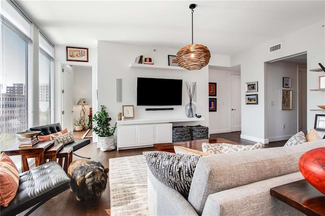 living room with dark hardwood / wood-style flooring and a healthy amount of sunlight