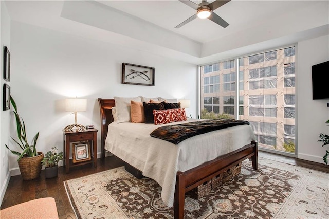 bedroom with a raised ceiling, dark hardwood / wood-style floors, ceiling fan, and multiple windows