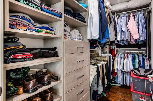 spacious closet featuring dark hardwood / wood-style flooring