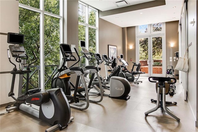 exercise room featuring expansive windows, a healthy amount of sunlight, and french doors