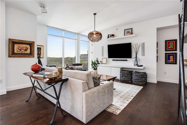 living room with dark wood-type flooring