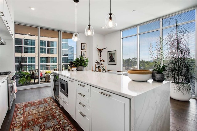 kitchen with dark hardwood / wood-style flooring, decorative light fixtures, stainless steel appliances, and white cabinets