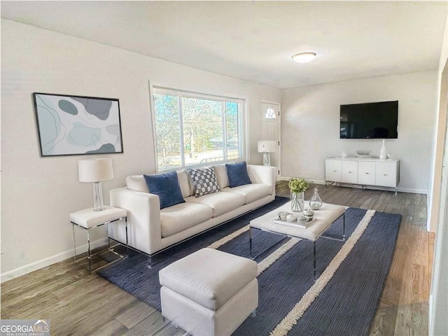 living room with wood-type flooring