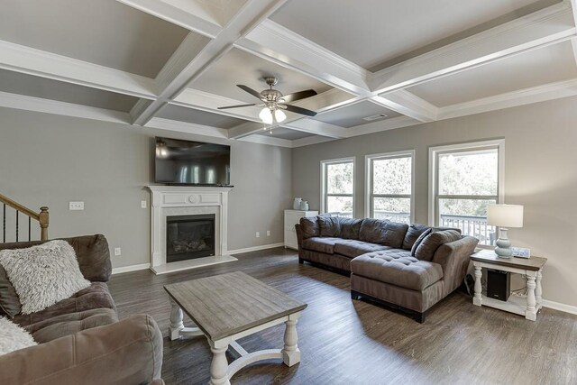 living room with ceiling fan, dark wood-style flooring, beam ceiling, baseboards, and coffered ceiling