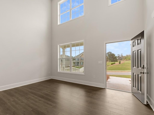 entryway featuring a wealth of natural light, dark hardwood / wood-style flooring, and a towering ceiling