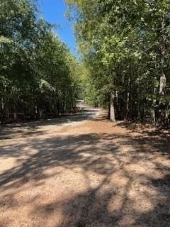 13191 Brown Bridge Rd, Covington GA, 30016 land for sale