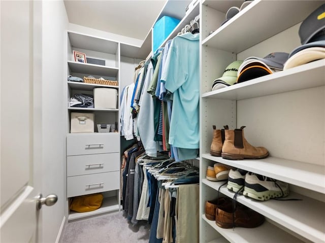 2506 Skyland Dr NE Unit 17, Atlanta, GA 30319 - walk in closet featuring carpet
