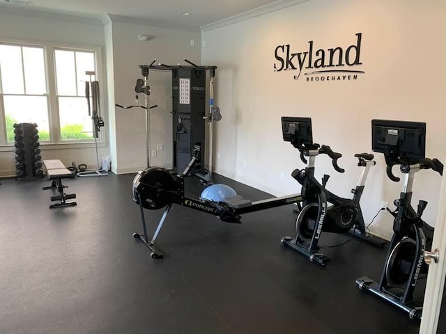 2506 Skyland Dr NE Unit 17, Atlanta, GA 30319 - exercise room with crown molding and baseboards