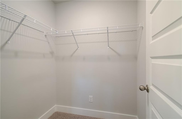 spacious closet with carpet