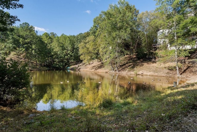 940 Waters Reach Ct, Alpharetta, GA 30022 - property view of water with a wooded view