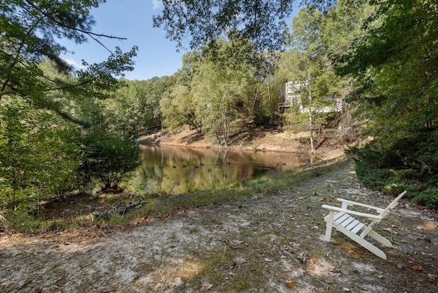 940 Waters Reach Ct, Alpharetta, GA 30022 - view of yard featuring a water view and a forest view