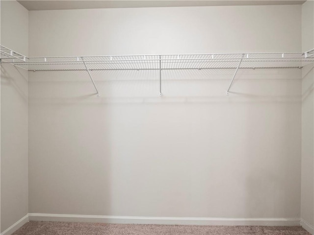 spacious closet featuring light carpet