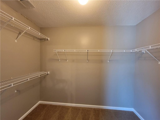 285 Fieldview Ln, Covington, GA 30016 - walk in closet featuring carpet