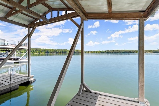 dock area with a water view